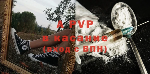 ПСИЛОЦИБИНОВЫЕ ГРИБЫ Белоозёрский