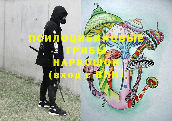 ПСИЛОЦИБИНОВЫЕ ГРИБЫ Белоозёрский