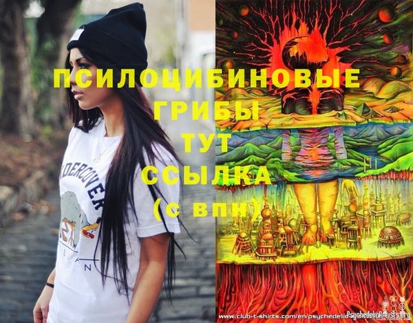 apvp Беломорск